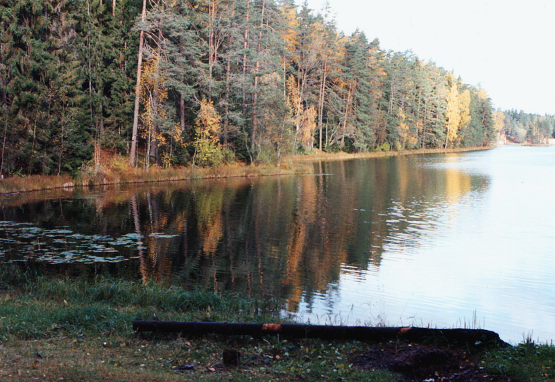 File:Lääne-Virumaa_Viitna järv_1 (Tiit Sillaots).jpg